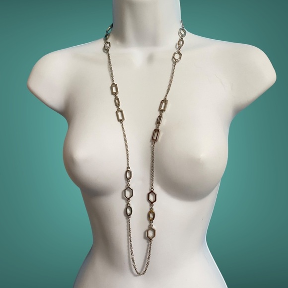 ANN TAYLOR Silvertone Chain Long Necklace - Picture 9 of 9